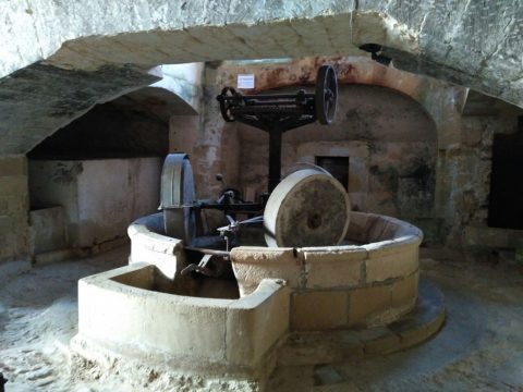 Frantoio Sciurti: la molazza