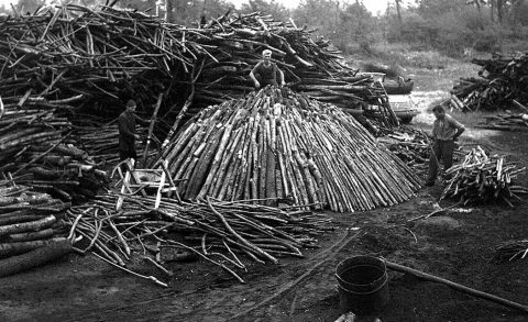 Carbonai a Melendugno