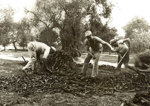 Carbonai a Melendugno