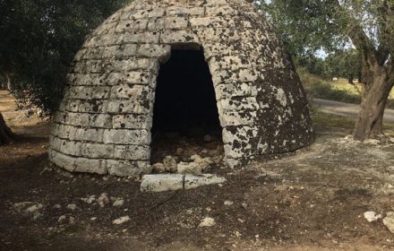 Pajare "strane" Borgagne
