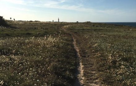 Itinerario Trekking