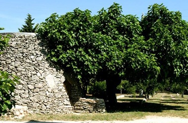 Masseria Malapezza